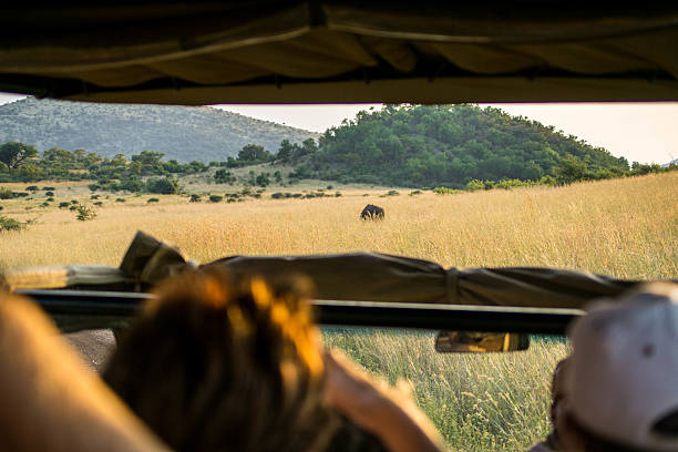 Queen Elizabeth Game Drive Queen Elizabeth Game Drive